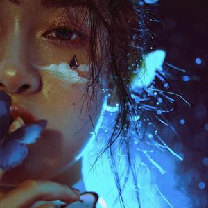 免费观看大雷擦狙视频教程
